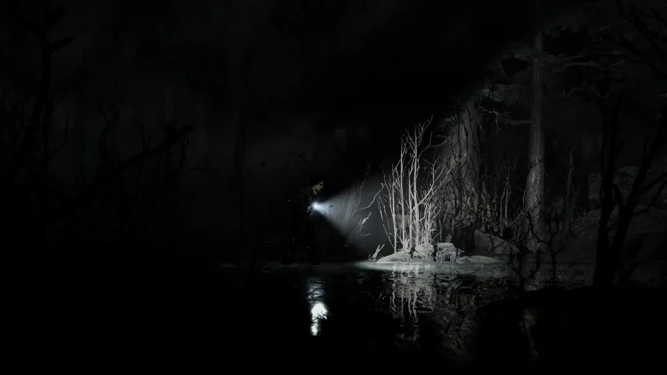 Silver Pines screenshot 8